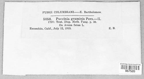 Puccinia graminis image